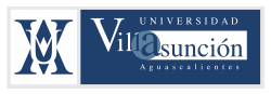 Universidad Villasuncion